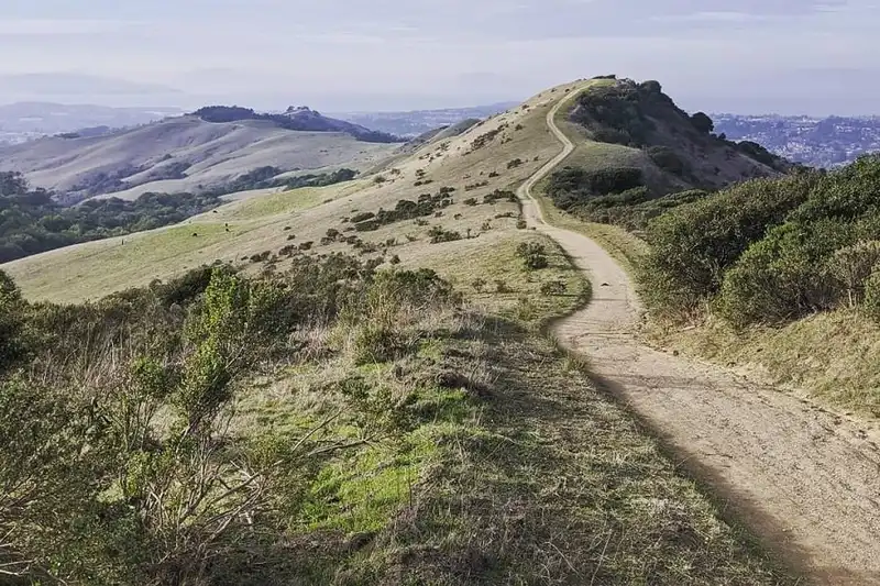 Full-Day Mountain Escape